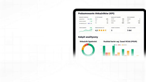 widok raportu z audytu dostępności cyfrowej wcag